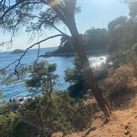 Lejlighed Maisonnette Climatisee A Louer Dans Fermee Proche Bandol